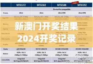 新澳门开奖结果2024开奖记录,实地验证数据设计_MT65.990-4