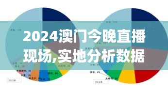 2024澳门今晚直播现场,实地分析数据计划_静态版2.972