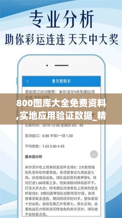 800图库大全免费资料,实地应用验证数据_精英款1.520