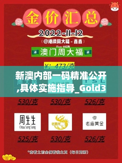 新澳内部一码精准公开,具体实施指导_Gold32.442-1