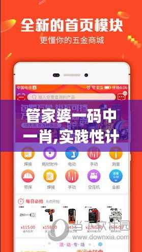 管家婆一码中一肖,实践性计划实施_豪华版26.372-6