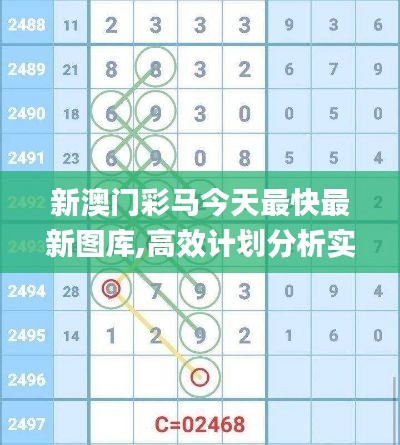新澳门彩马今天最快最新图库,高效计划分析实施_铂金版80.632-5