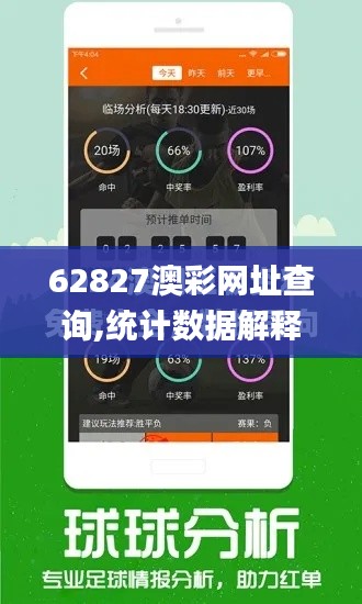 62827澳彩网址查询,统计数据解释定义_体验版54.844-8