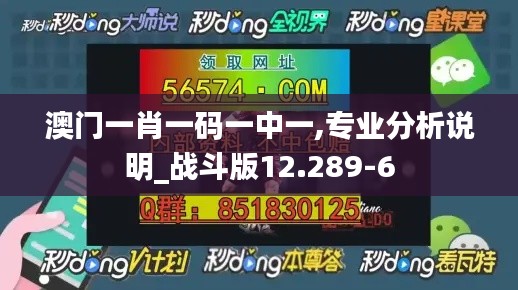 澳门一肖一码一中一,专业分析说明_战斗版12.289-6