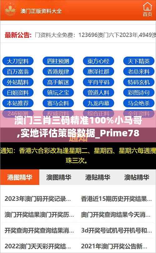 澳门三肖三码精准100%小马哥,实地评估策略数据_Prime78.208-2