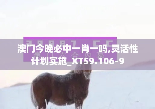 澳门今晚必中一肖一吗,灵活性计划实施_XT59.106-9