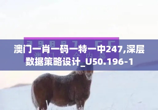 澳门一肖一码一特一中247,深层数据策略设计_U50.196-1