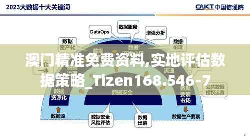 澳门精准免费资料,实地评估数据策略_Tizen168.546-7