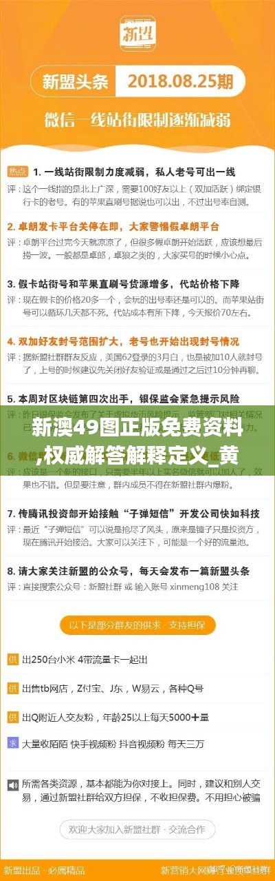 新澳49图正版免费资料,权威解答解释定义_黄金版3.782