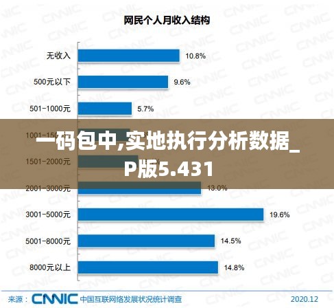 一码包中,实地执行分析数据_P版5.431
