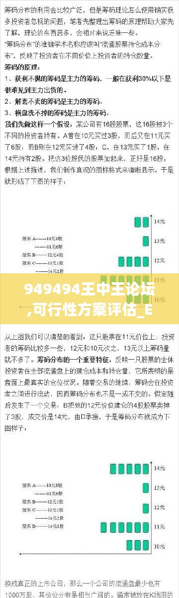 949494王中王论坛,可行性方案评估_Elite55.873-9