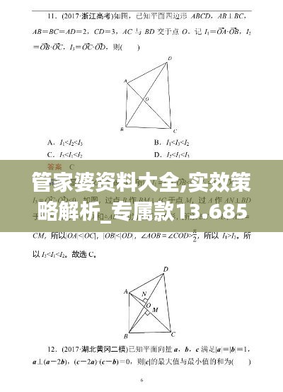 管家婆资料大全,实效策略解析_专属款13.685