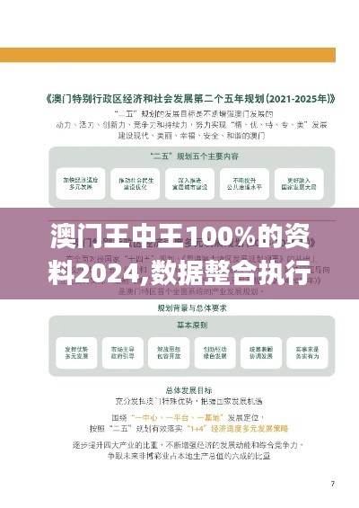 澳门王中王100%的资料2024,数据整合执行方案_尊贵款4.182-2
