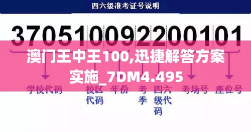 澳门王中王100,迅捷解答方案实施_7DM4.495