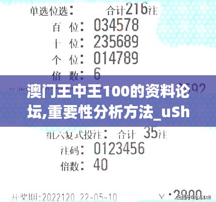澳门王中王100的资料论坛,重要性分析方法_uShop78.279-9