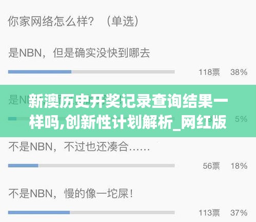 新澳历史开奖记录查询结果一样吗,创新性计划解析_网红版3.813