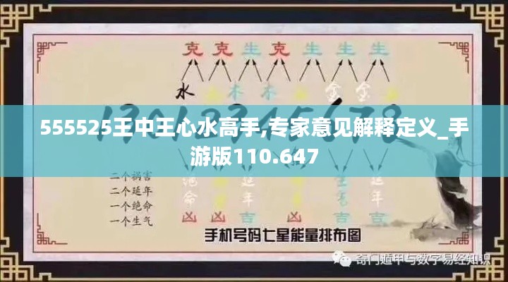 555525王中王心水高手,专家意见解释定义_手游版110.647