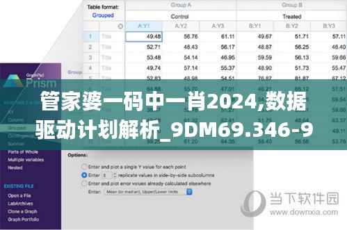 管家婆一码中一肖2024,数据驱动计划解析_9DM69.346-9