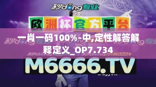 一肖一码100%-中,定性解答解释定义_OP7.734