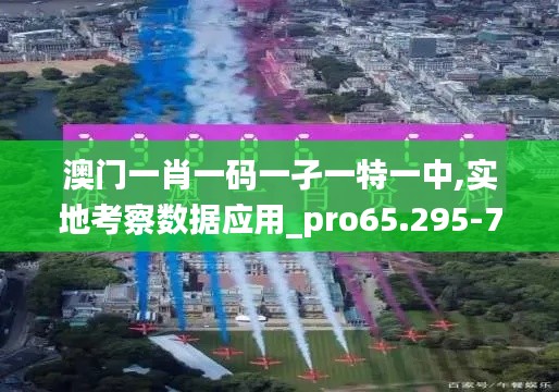 澳门一肖一码一孑一特一中,实地考察数据应用_pro65.295-7