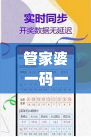 管家婆一码一肖100中奖舟山,灵活解析设计_pro9.225