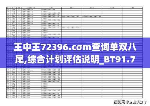 王中王72396.cσm查询单双八尾,综合计划评估说明_BT91.756-3