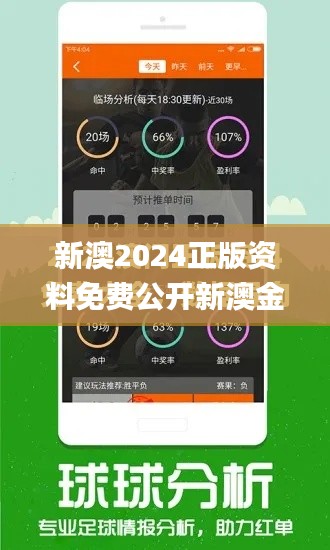 新澳2024正版资料免费公开新澳金牌解密,精细化策略解析_VR19.105-3