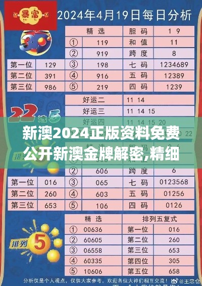 新澳2024正版资料免费公开新澳金牌解密,精细化策略解析_VR19.105-3