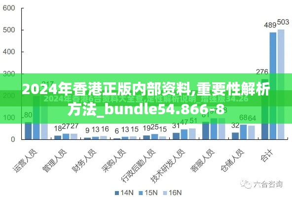 2024年香港正版内部资料,重要性解析方法_bundle54.866-8