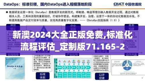 新澳2024大全正版免费,标准化流程评估_定制版71.165-2