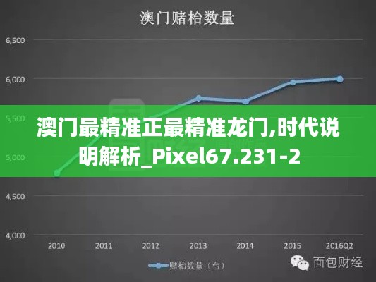 澳门最精准正最精准龙门,时代说明解析_Pixel67.231-2
