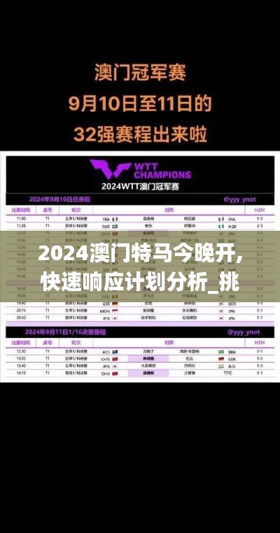 2024澳门特马今晚开,快速响应计划分析_挑战版9.650