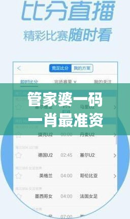 管家婆一码一肖最准资料,数据整合设计方案_界面版9.486