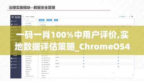 一码一肖100%中用户评价,实地数据评估策略_ChromeOS42.983-4