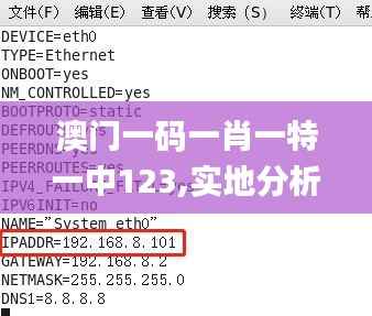 澳门一码一肖一特一中123,实地分析验证数据_nShop24.412-7