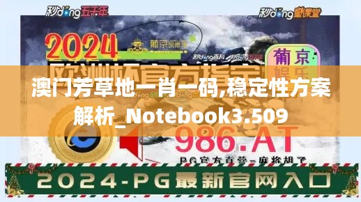 澳门芳草地一肖一码,稳定性方案解析_Notebook3.509
