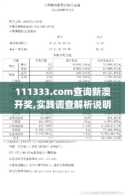 111333.соm查询新澳开奖,实践调查解析说明_领航款71.212-7