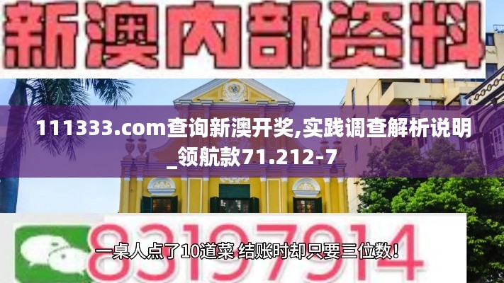 111333.соm查询新澳开奖,实践调查解析说明_领航款71.212-7