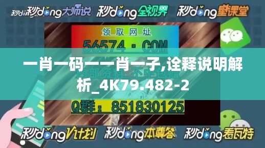 一肖一码一一肖一子,诠释说明解析_4K79.482-2