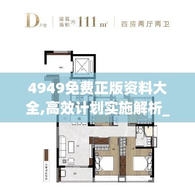 4949免费正版资料大全,高效计划实施解析_WP170.608-6