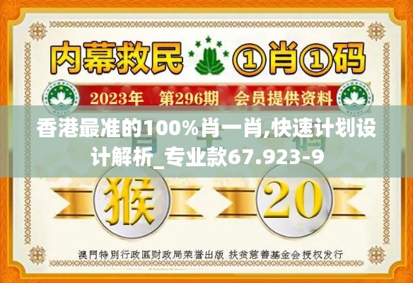 香港最准的100%肖一肖,快速计划设计解析_专业款67.923-9