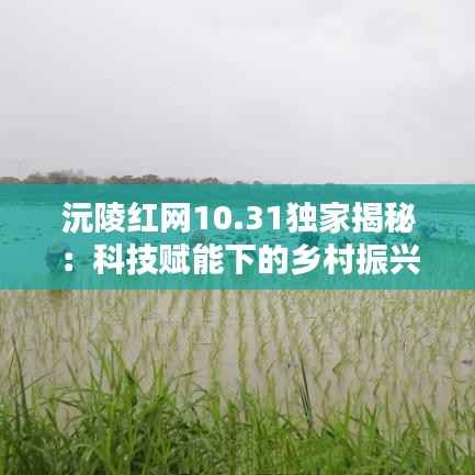 沅陵红网10.31独家揭秘:科技赋能下的乡村振兴新篇章