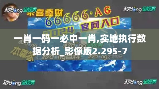 一肖一码一必中一肖,实地执行数据分析_影像版2.295-7