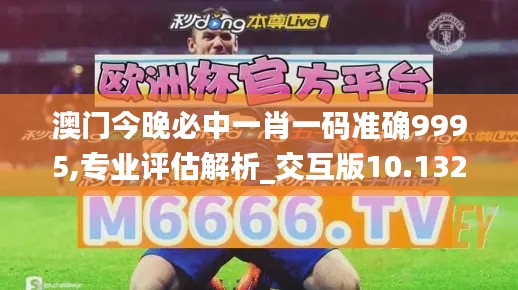 澳门今晚必中一肖一码准确9995,专业评估解析_交互版10.132-9