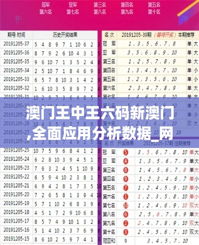 澳门王中王六码新澳门,全面应用分析数据_网页版170.895-7