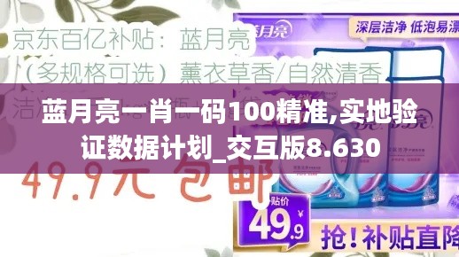 蓝月亮一肖一码100精准,实地验证数据计划_交互版8.630