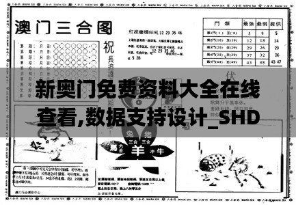 新奥门免费资料大全在线查看,数据支持设计_SHD90.699-2
