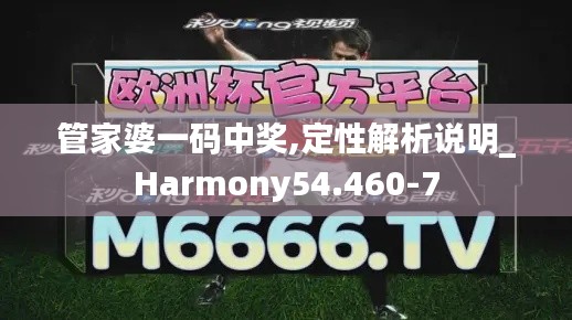 管家婆一码中奖,定性解析说明_Harmony54.460-7