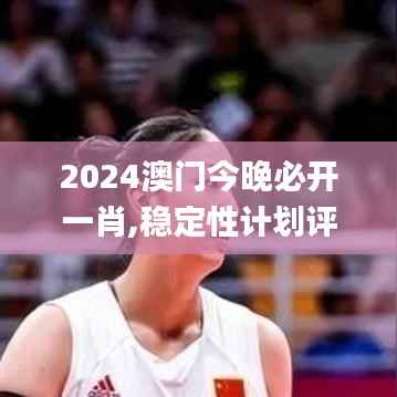 2024澳门今晚必开一肖,稳定性计划评估_尊享款10.257-7