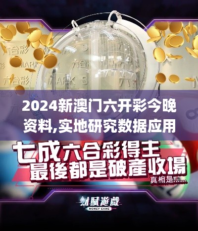 2024新澳门六开彩今晚资料,实地研究数据应用_体验版3.426